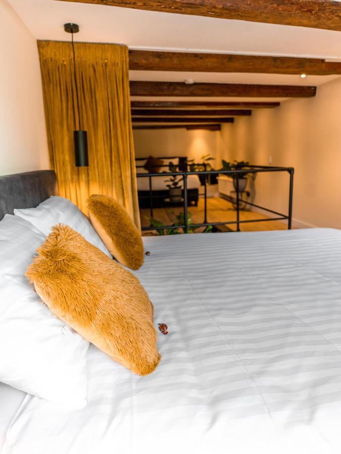Appartement Wolf 阿尔克马尔 外观 照片